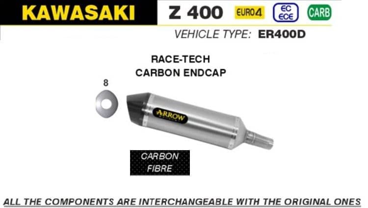Arrow Exhaust Race-Tech Carbon Fibre Slip On Silencer Kawasaki Z 400 2019 - 2020-71874MK-FL1